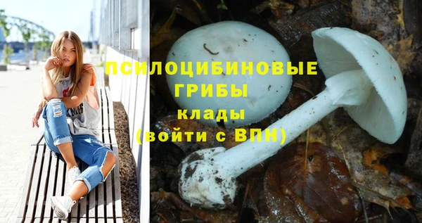 первитин Зерноград