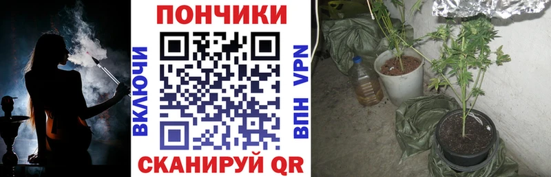 Бошки марихуана гибрид  Купить закладки  Светлогорск 